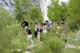 ‘영국 로열발레와 함께한 자연 속 움직임, 치유의 시간’...  교육진흥원, 중장년 대상 도시숲 예술치유 성료